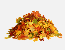 Уборка листьев